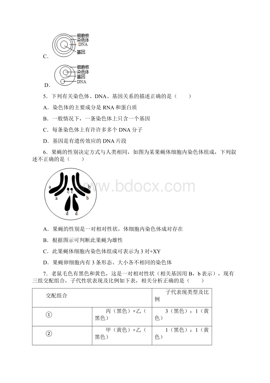 苏科版生物八年级下册第7单元第22章 生物的遗传与变异 训练题含答案文档格式.docx_第2页