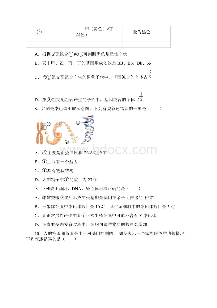 苏科版生物八年级下册第7单元第22章 生物的遗传与变异 训练题含答案文档格式.docx_第3页