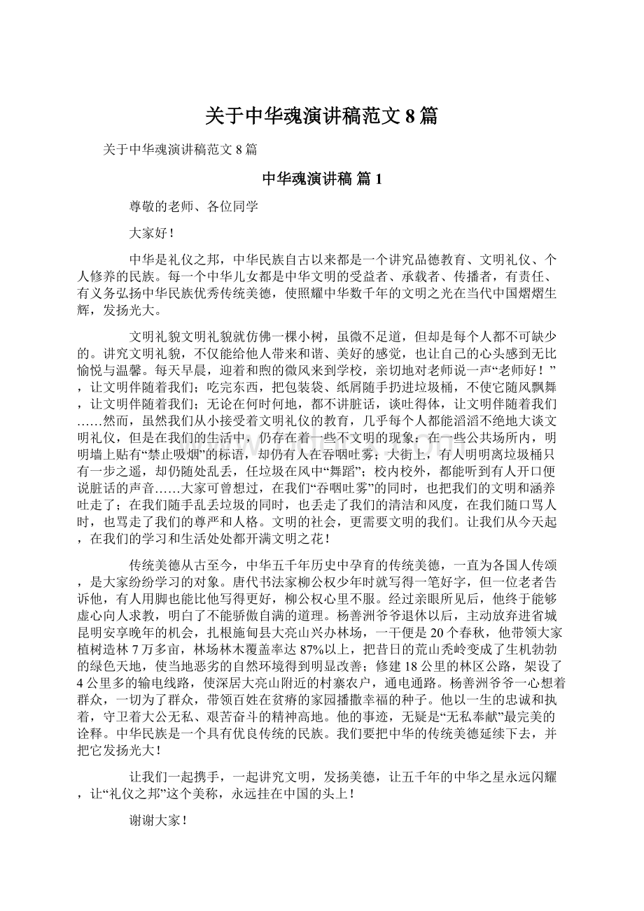 关于中华魂演讲稿范文8篇文档格式.docx