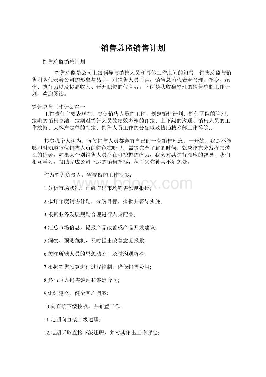 销售总监销售计划.docx