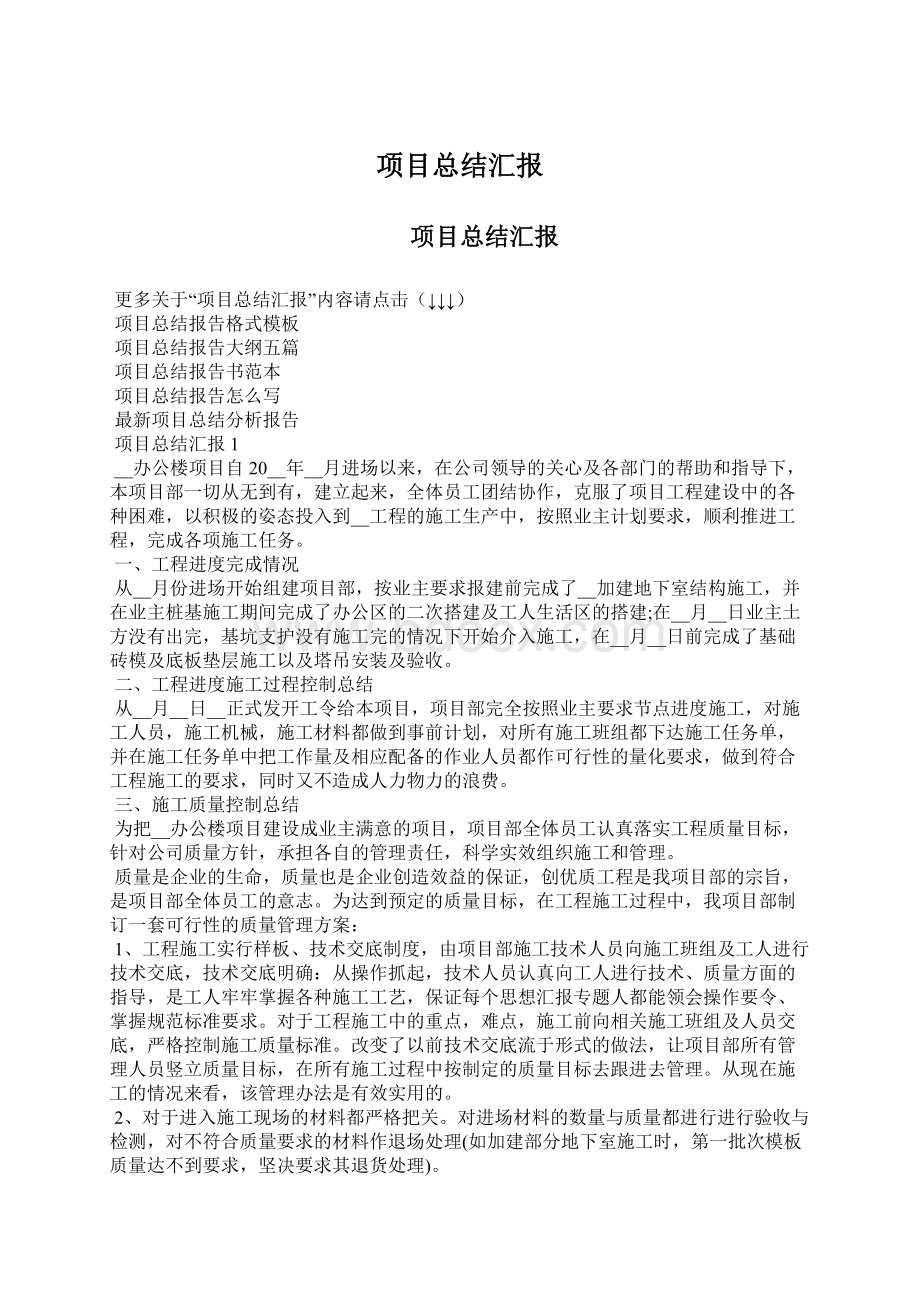 项目总结汇报Word文档格式.docx