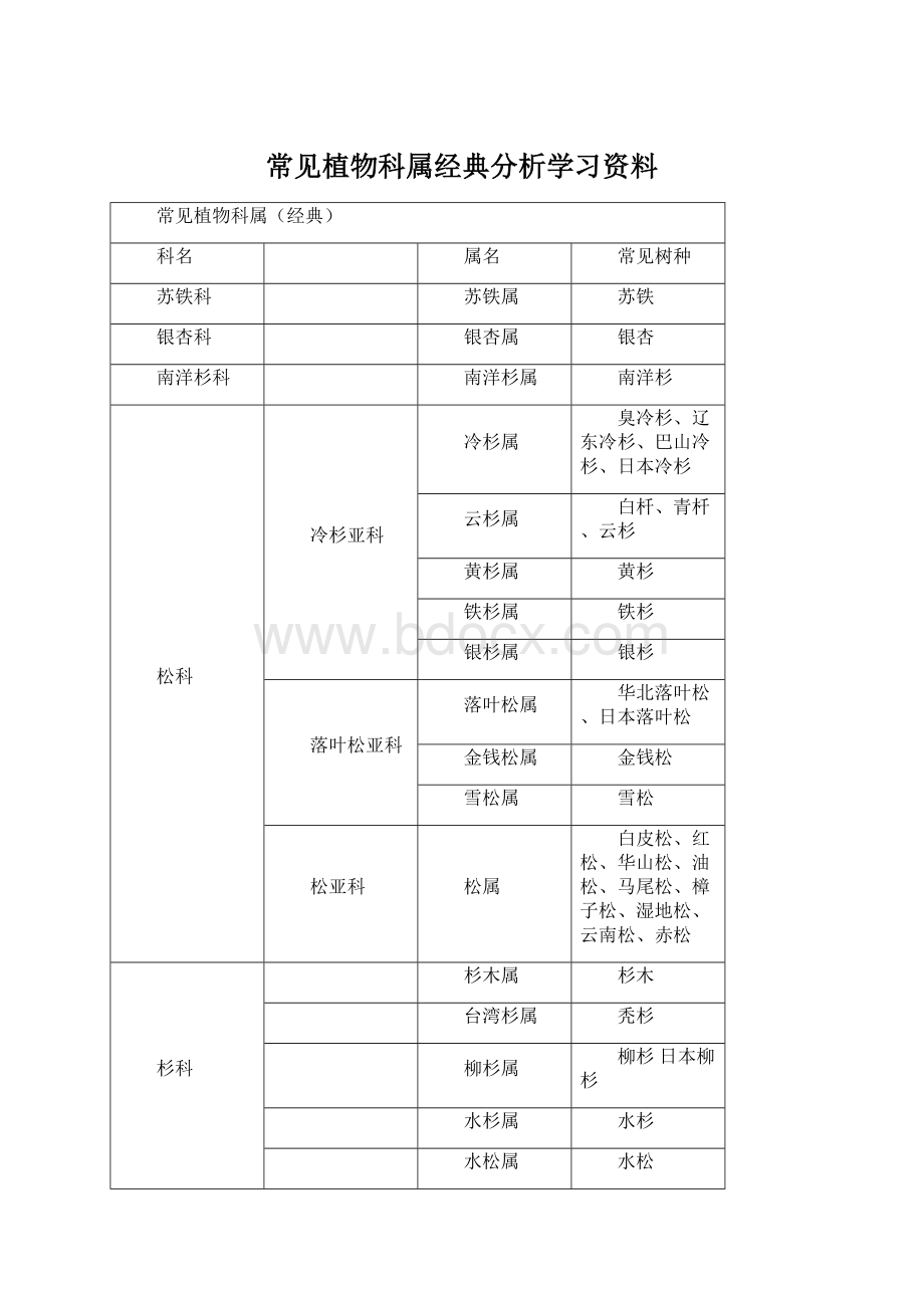 常见植物科属经典分析学习资料Word文档下载推荐.docx_第1页