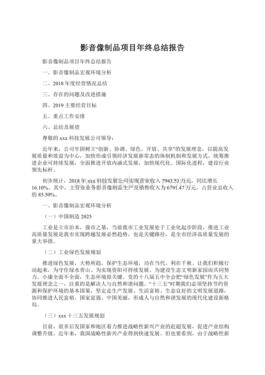 影音像制品项目年终总结报告Word下载.docx_第1页