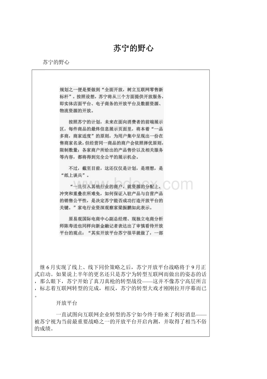 苏宁的野心文档格式.docx_第1页