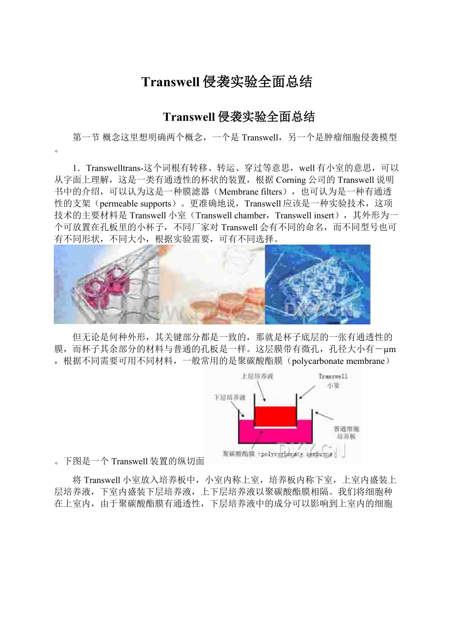 Transwell侵袭实验全面总结.docx