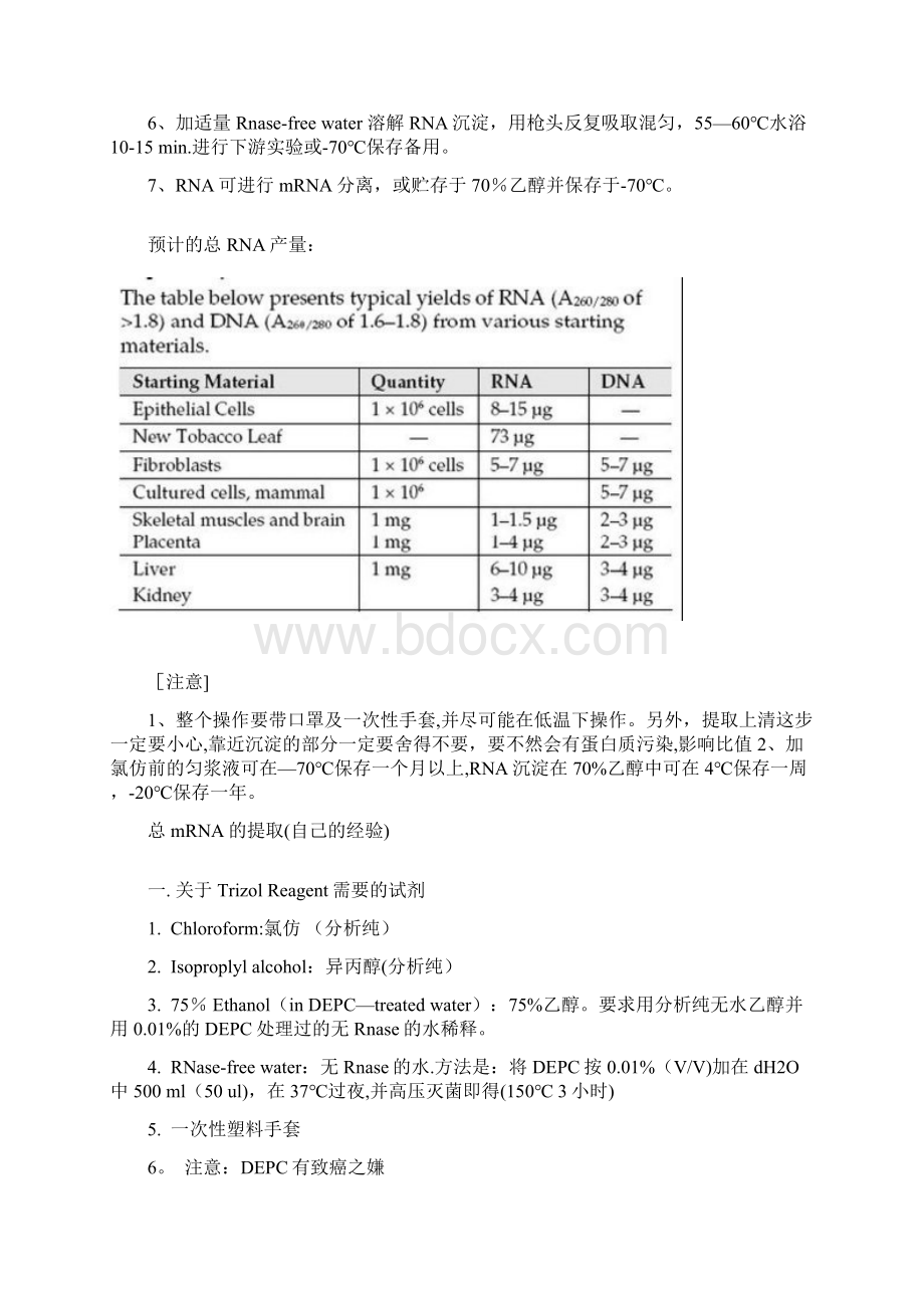 整理RealtimePCR实验攻略.docx_第3页