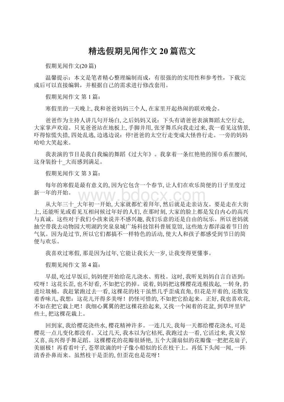 精选假期见闻作文20篇范文Word文档下载推荐.docx