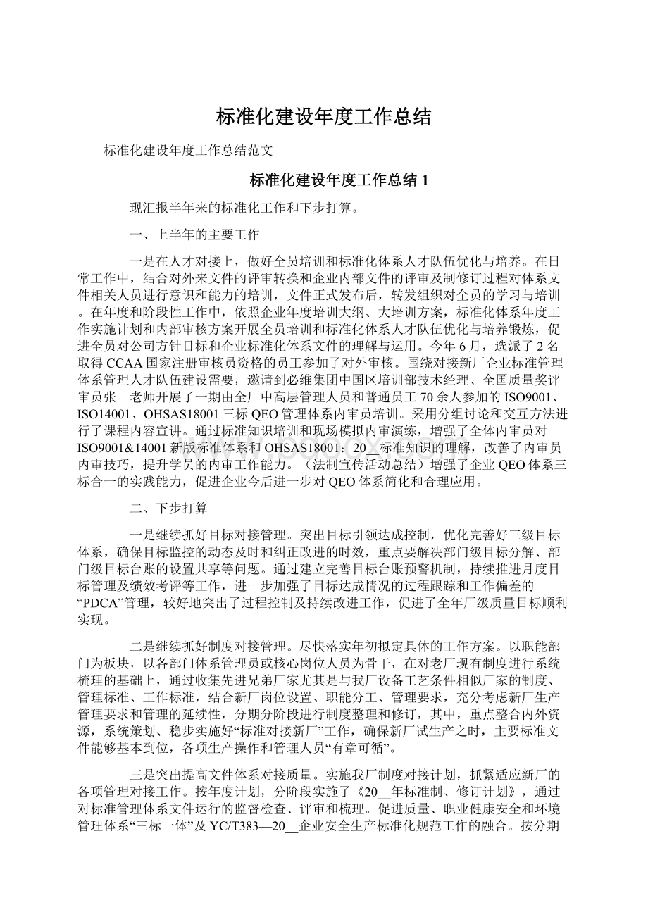 标准化建设年度工作总结.docx