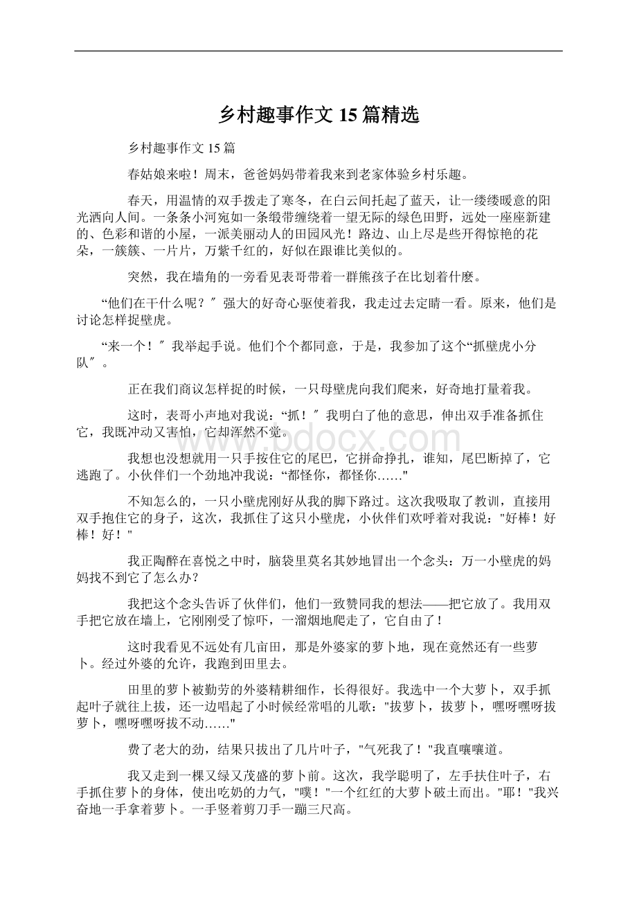 乡村趣事作文15篇精选Word文档格式.docx