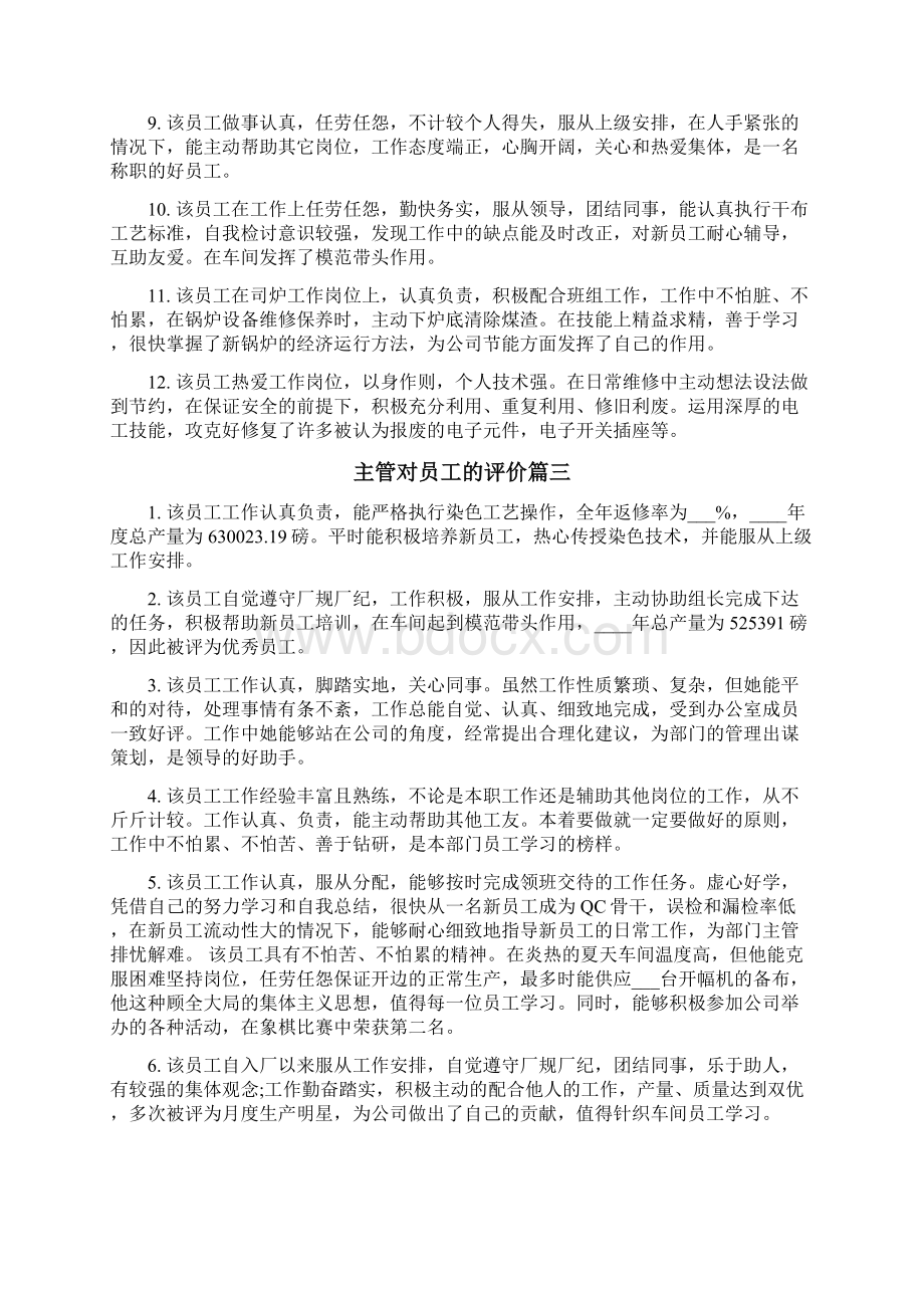 主管对员工的评价.docx_第3页