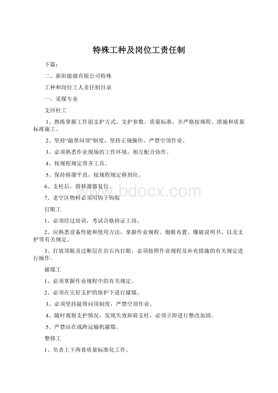 特殊工种及岗位工责任制Word文档下载推荐.docx_第1页