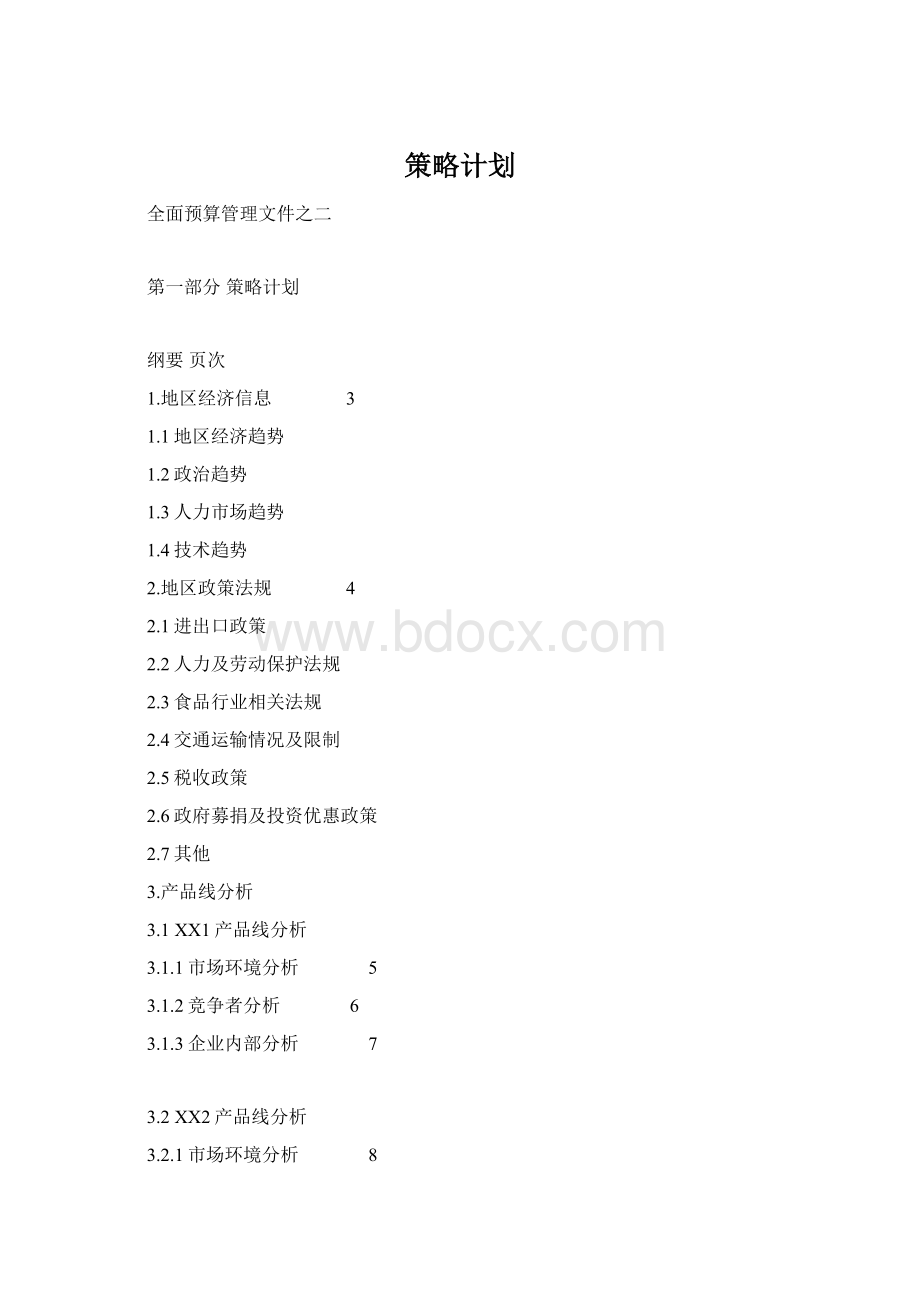 策略计划Word格式文档下载.docx