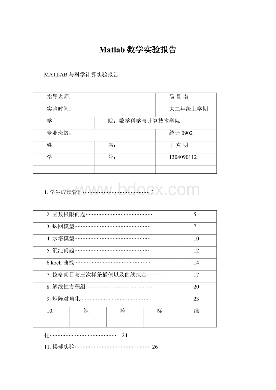 Matlab数学实验报告.docx