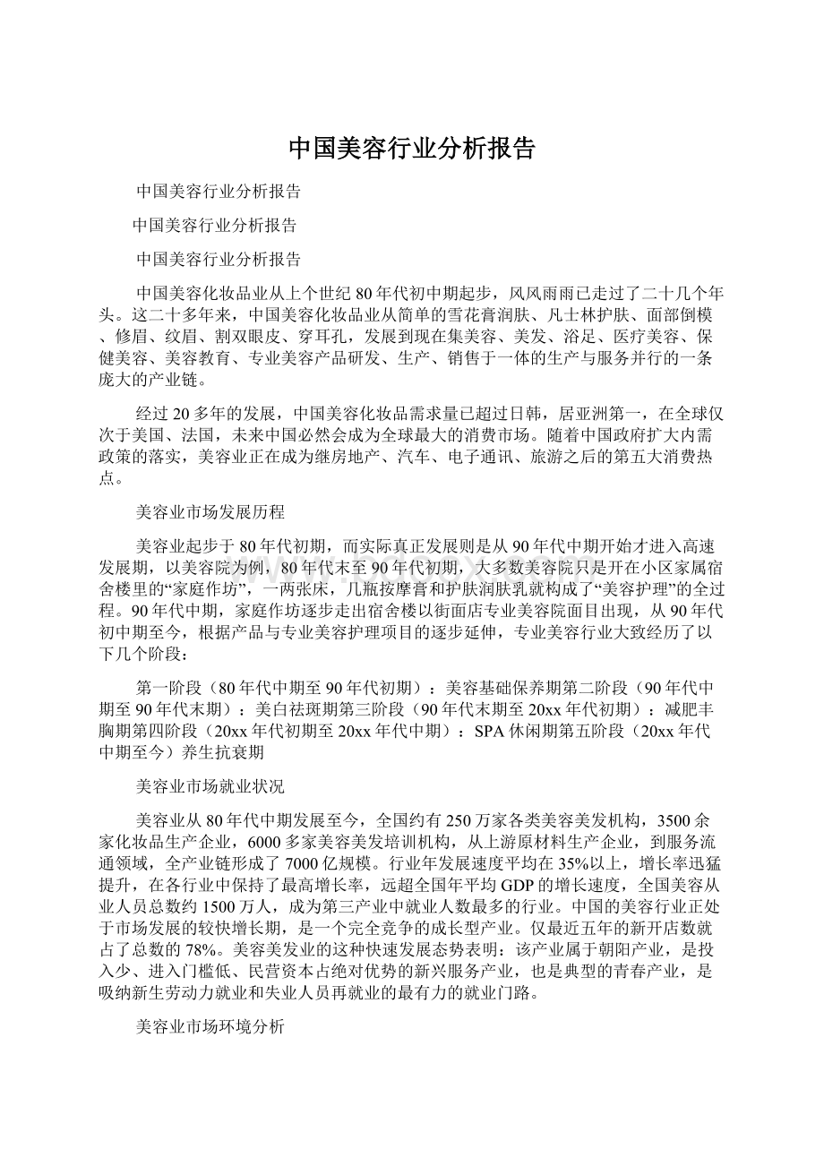 中国美容行业分析报告文档格式.docx_第1页