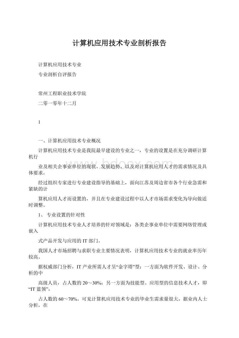 计算机应用技术专业剖析报告文档格式.docx