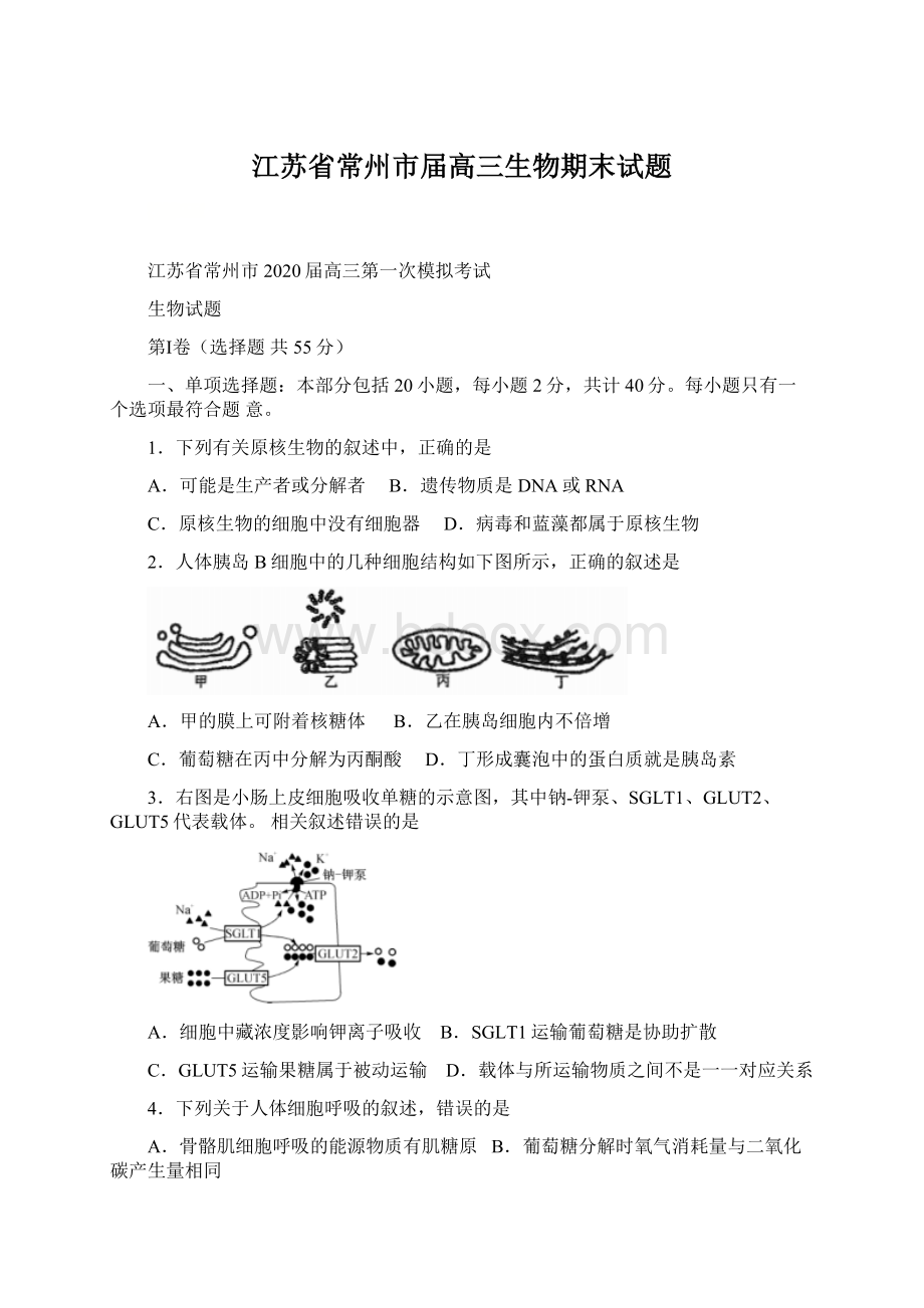 江苏省常州市届高三生物期末试题Word下载.docx_第1页