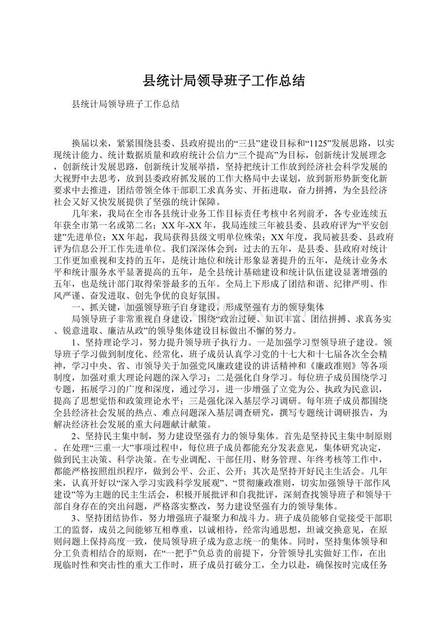 县统计局领导班子工作总结Word下载.docx