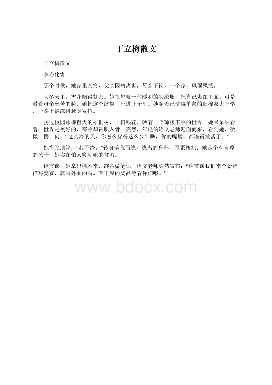 丁立梅散文Word下载.docx