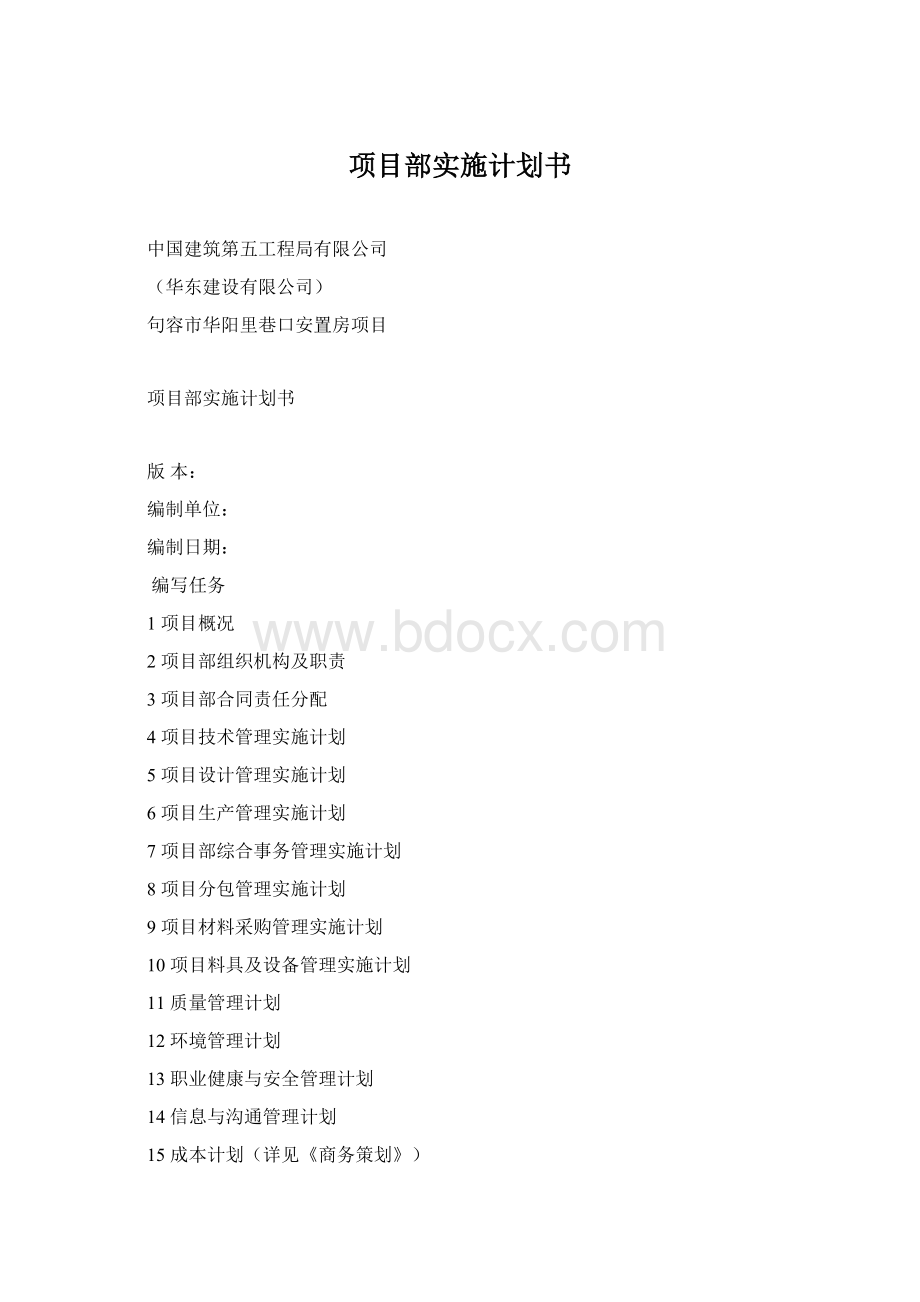 项目部实施计划书.docx