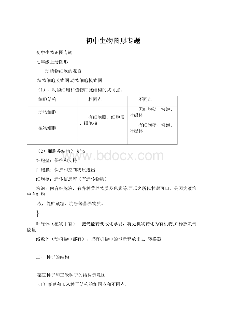 初中生物图形专题Word文档格式.docx