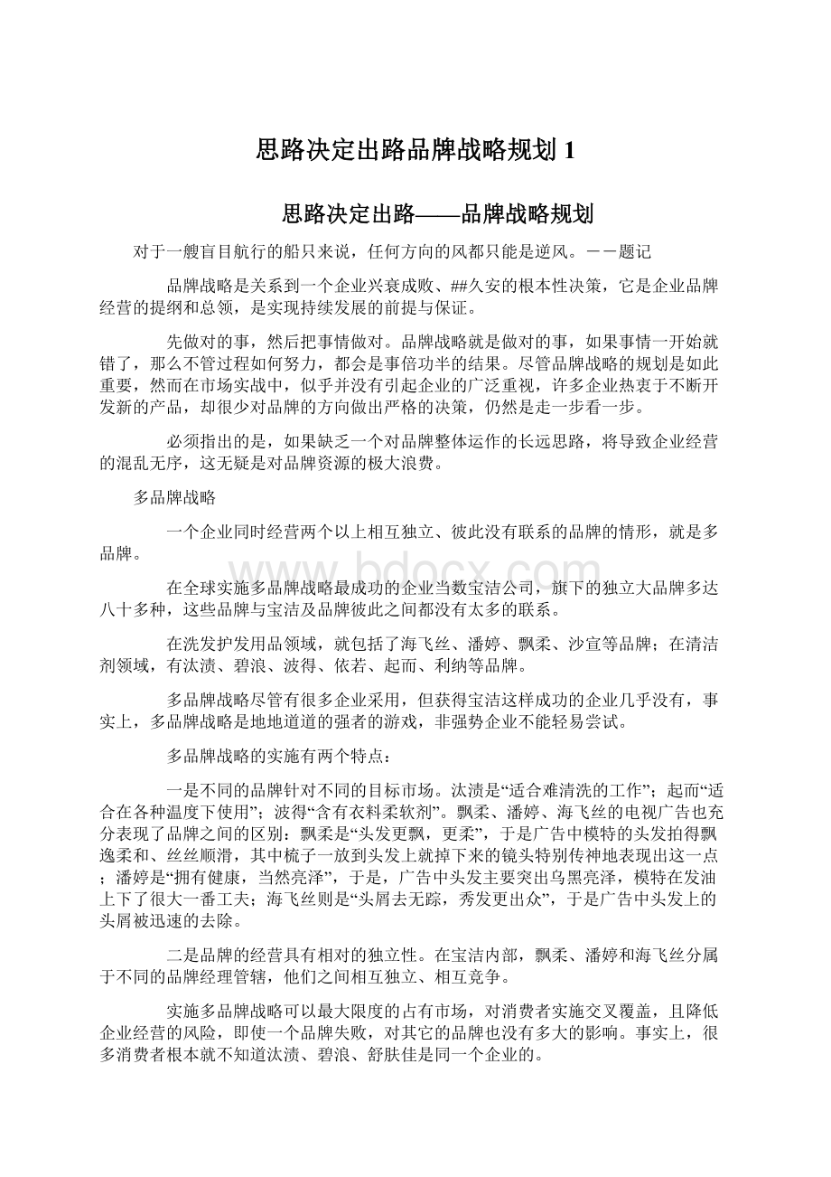 思路决定出路品牌战略规划1.docx_第1页