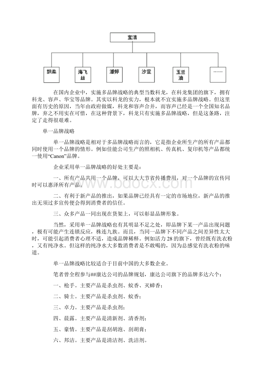 思路决定出路品牌战略规划1.docx_第2页