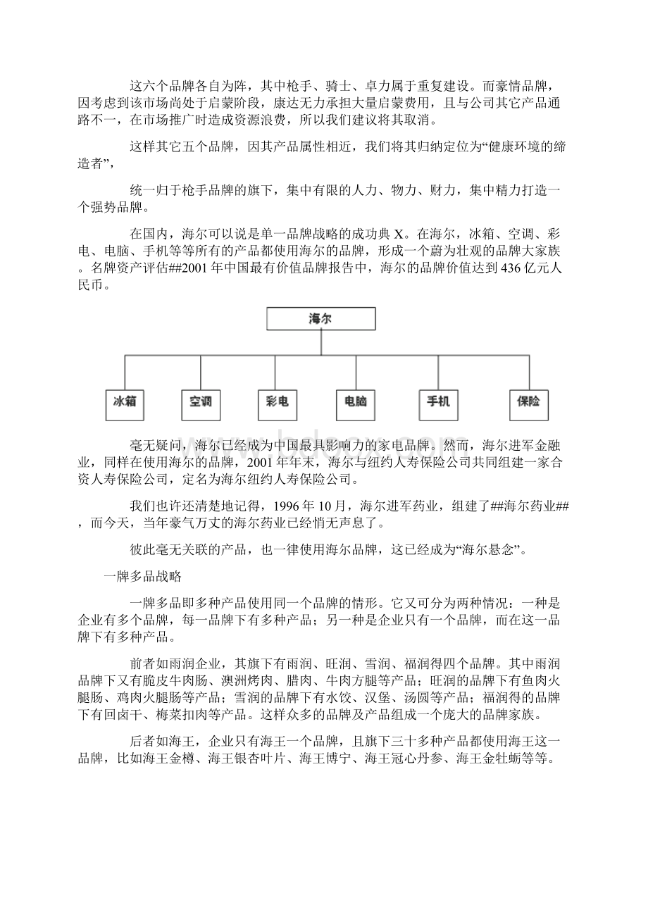 思路决定出路品牌战略规划1.docx_第3页