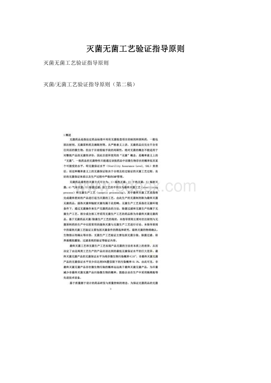 灭菌无菌工艺验证指导原则Word格式.docx