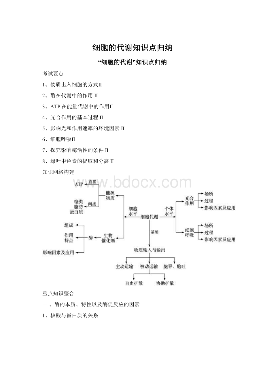 细胞的代谢知识点归纳Word格式.docx