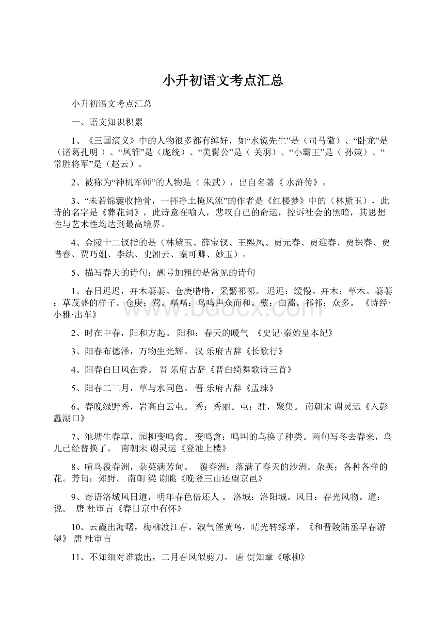 小升初语文考点汇总Word格式.docx