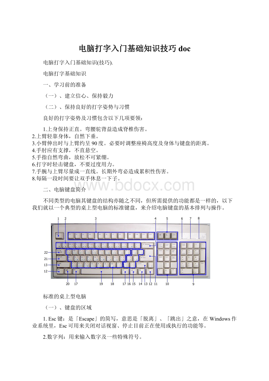 电脑打字入门基础知识技巧docWord下载.docx_第1页