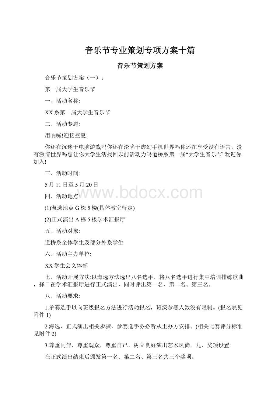 音乐节专业策划专项方案十篇.docx