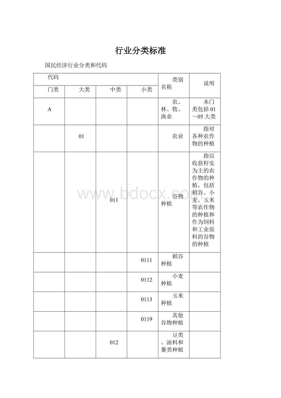 行业分类标准Word格式.docx