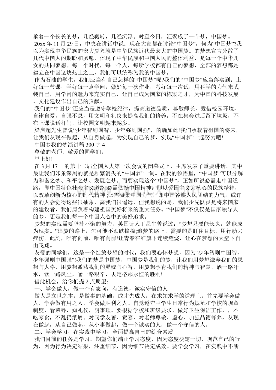 中国梦我的梦优秀演讲稿300字5篇文档格式.docx_第3页