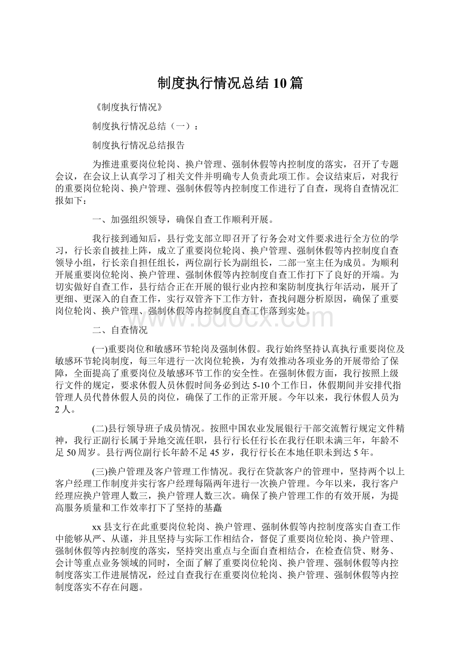 制度执行情况总结10篇.docx