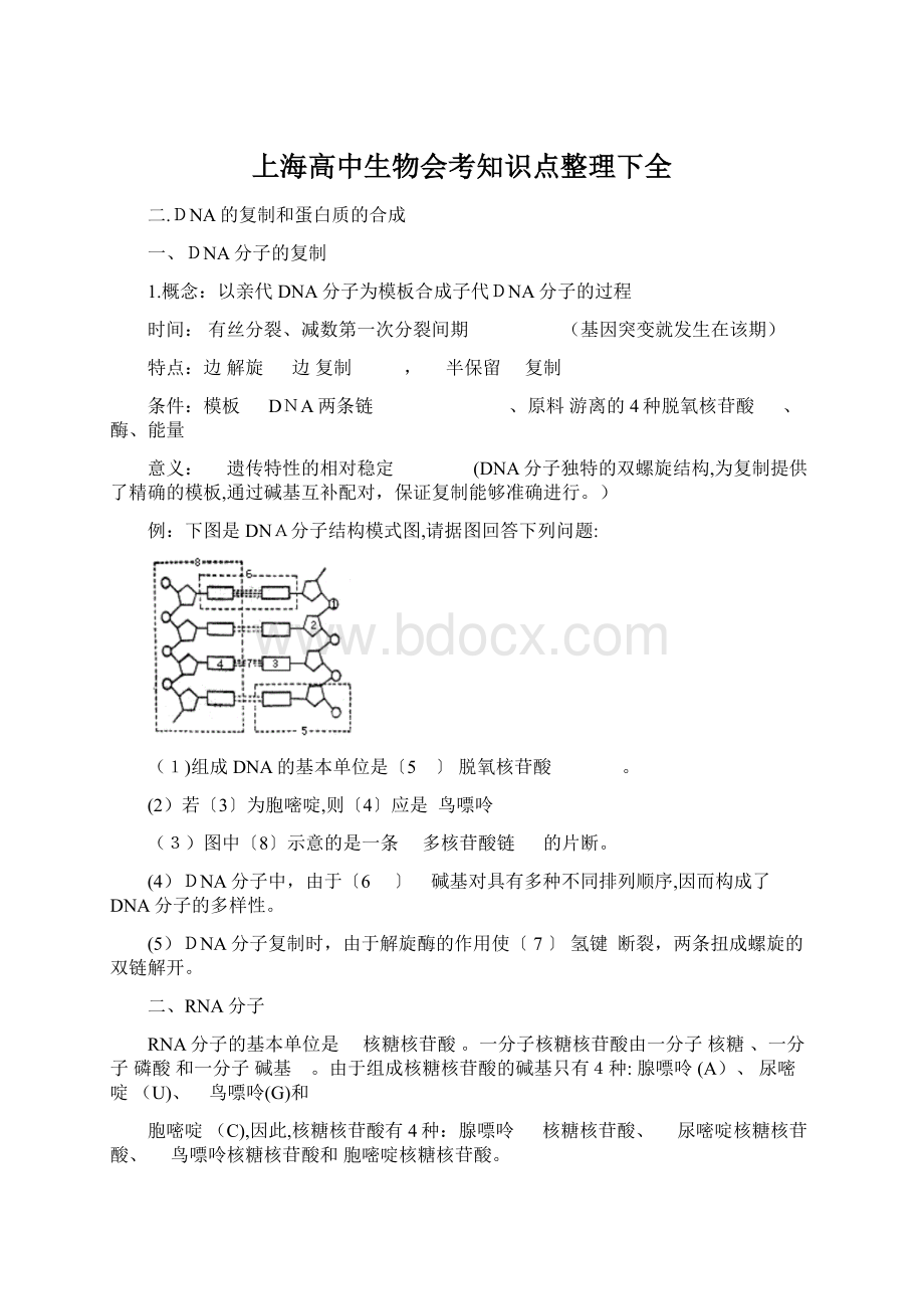 上海高中生物会考知识点整理下全Word格式文档下载.docx_第1页