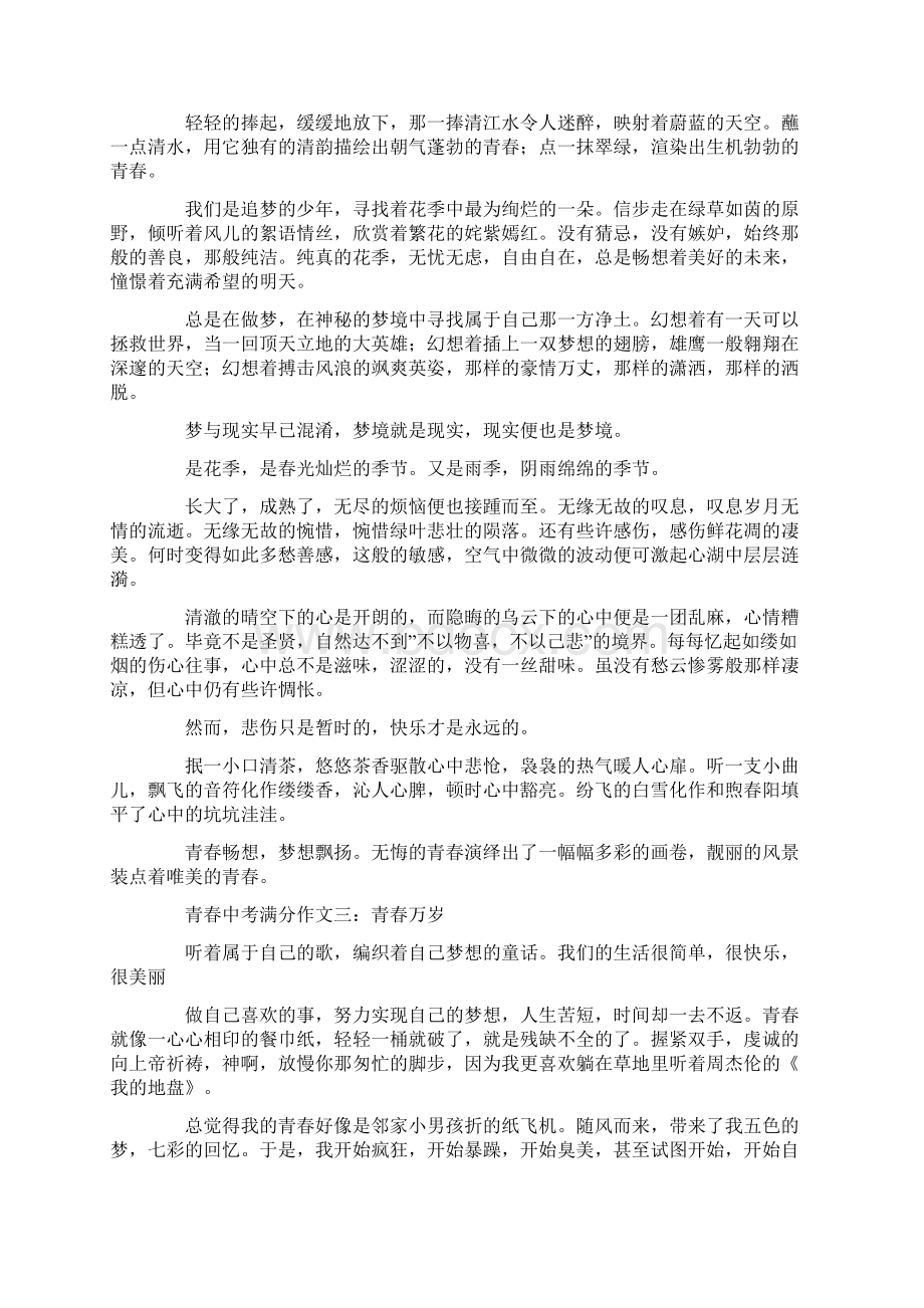 青春中考满分作文中考作文.docx_第2页