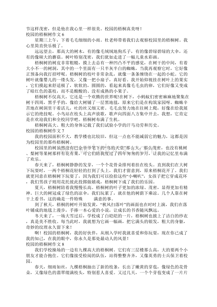 校园的梧桐树作文合集15篇.docx_第3页