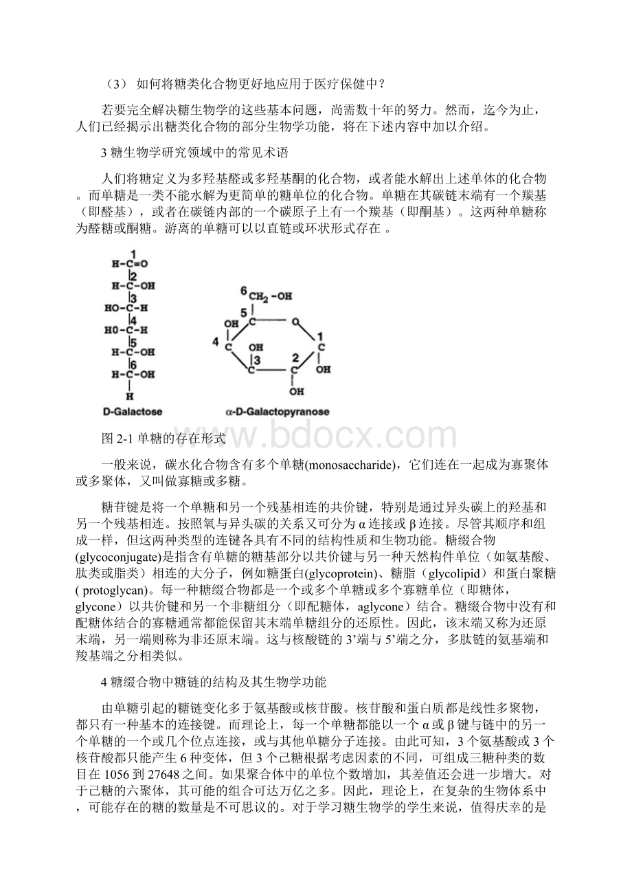 现代糖生物学进展汇总.docx_第2页