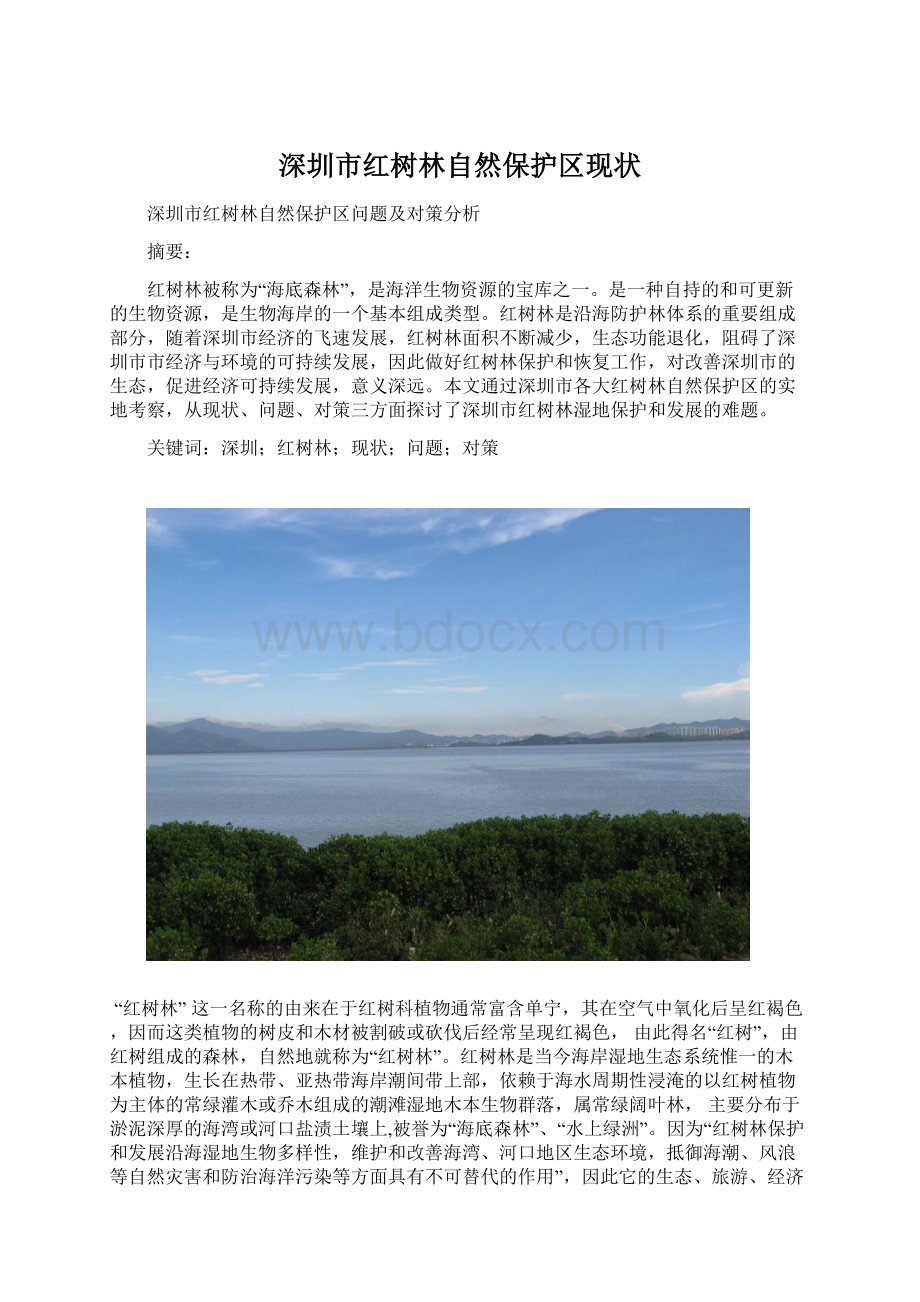 深圳市红树林自然保护区现状Word下载.docx_第1页