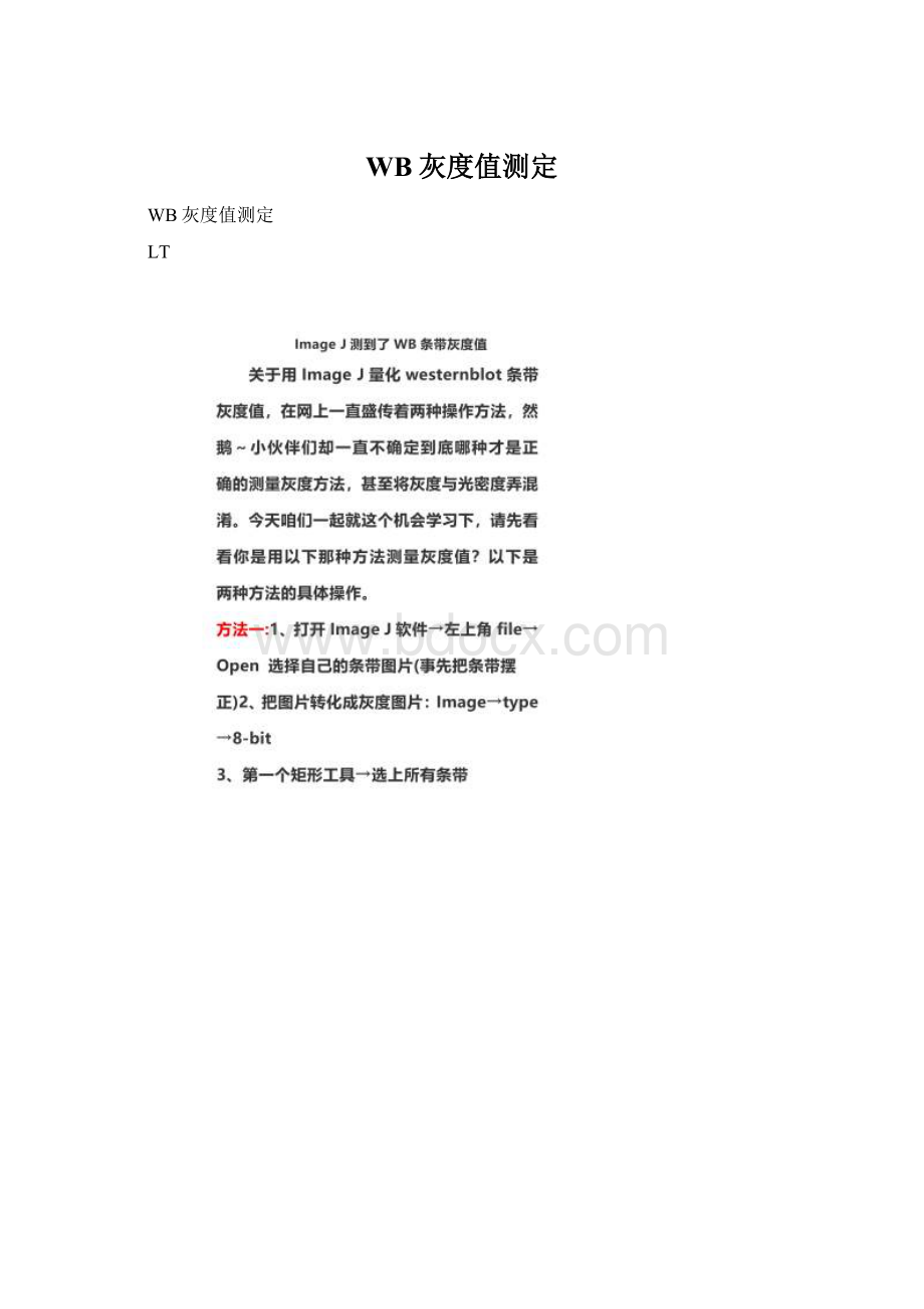 WB灰度值测定Word文件下载.docx_第1页