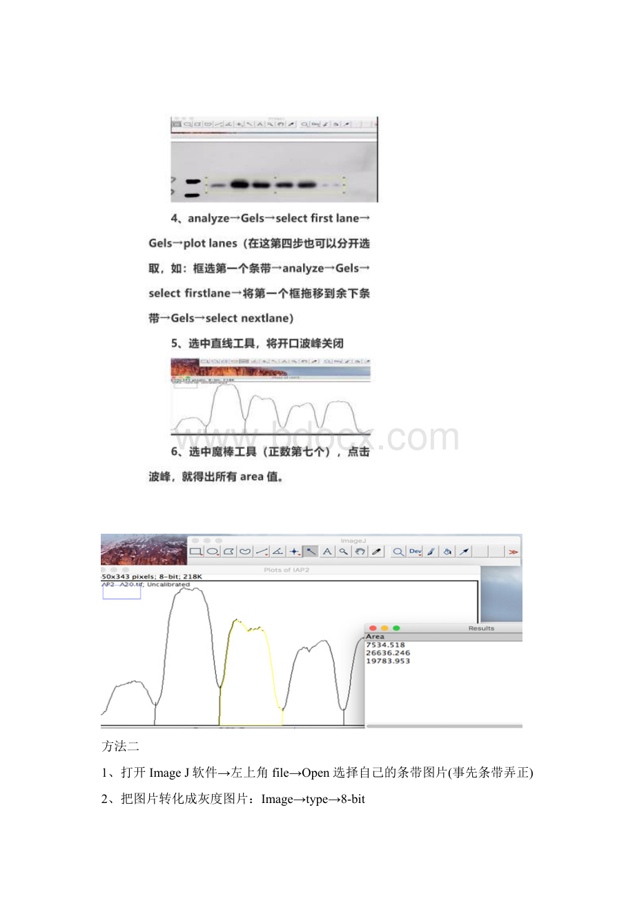 WB灰度值测定Word文件下载.docx_第2页