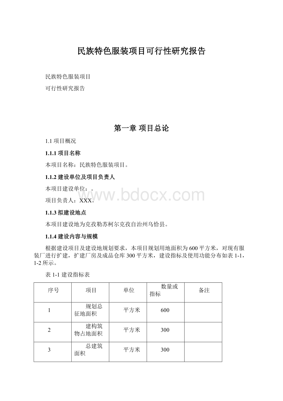 民族特色服装项目可行性研究报告.docx