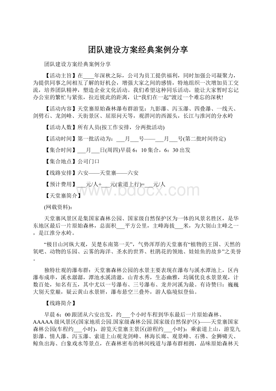 团队建设方案经典案例分享Word文件下载.docx