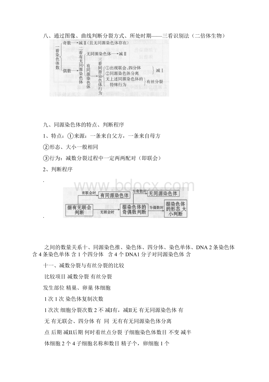 减数分裂和有性生殖知识点归纳.docx_第3页