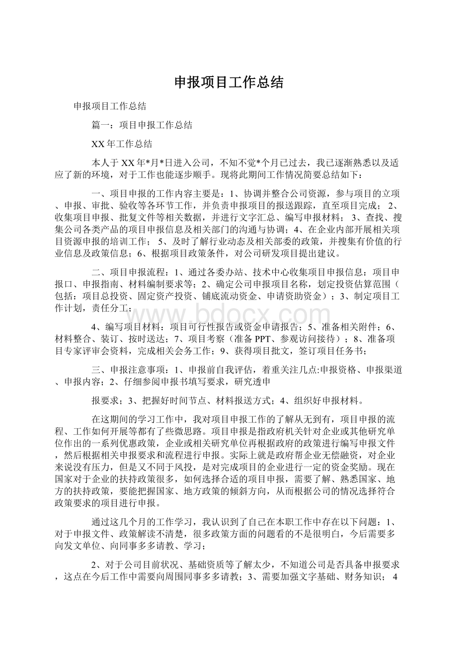 申报项目工作总结Word格式文档下载.docx