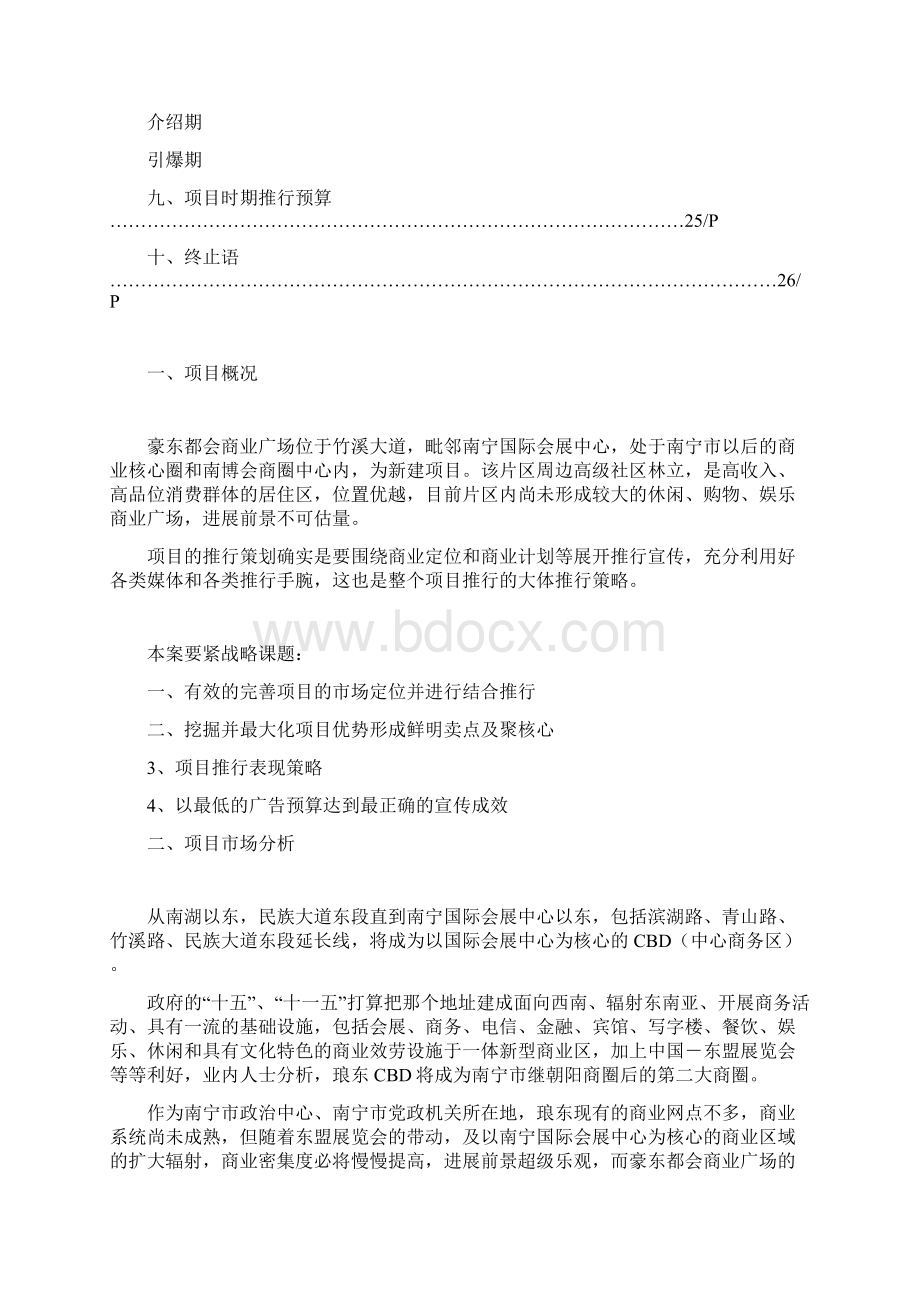 南宁市豪东都会商业广场项目推行策划文档格式.docx_第2页