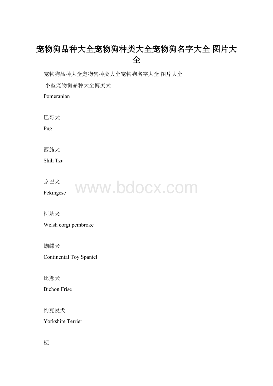 宠物狗品种大全宠物狗种类大全宠物狗名字大全 图片大全.docx_第1页