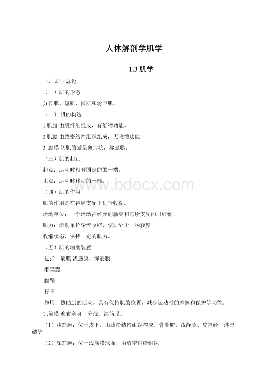 人体解剖学肌学Word文档格式.docx