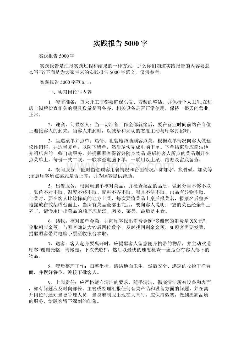 实践报告5000字Word格式.docx